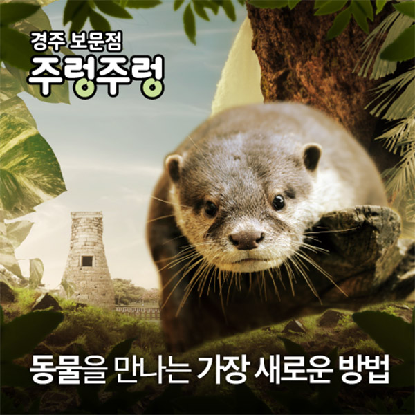 (사용안함) [경주보문점] 주렁주렁 경주점 1인권