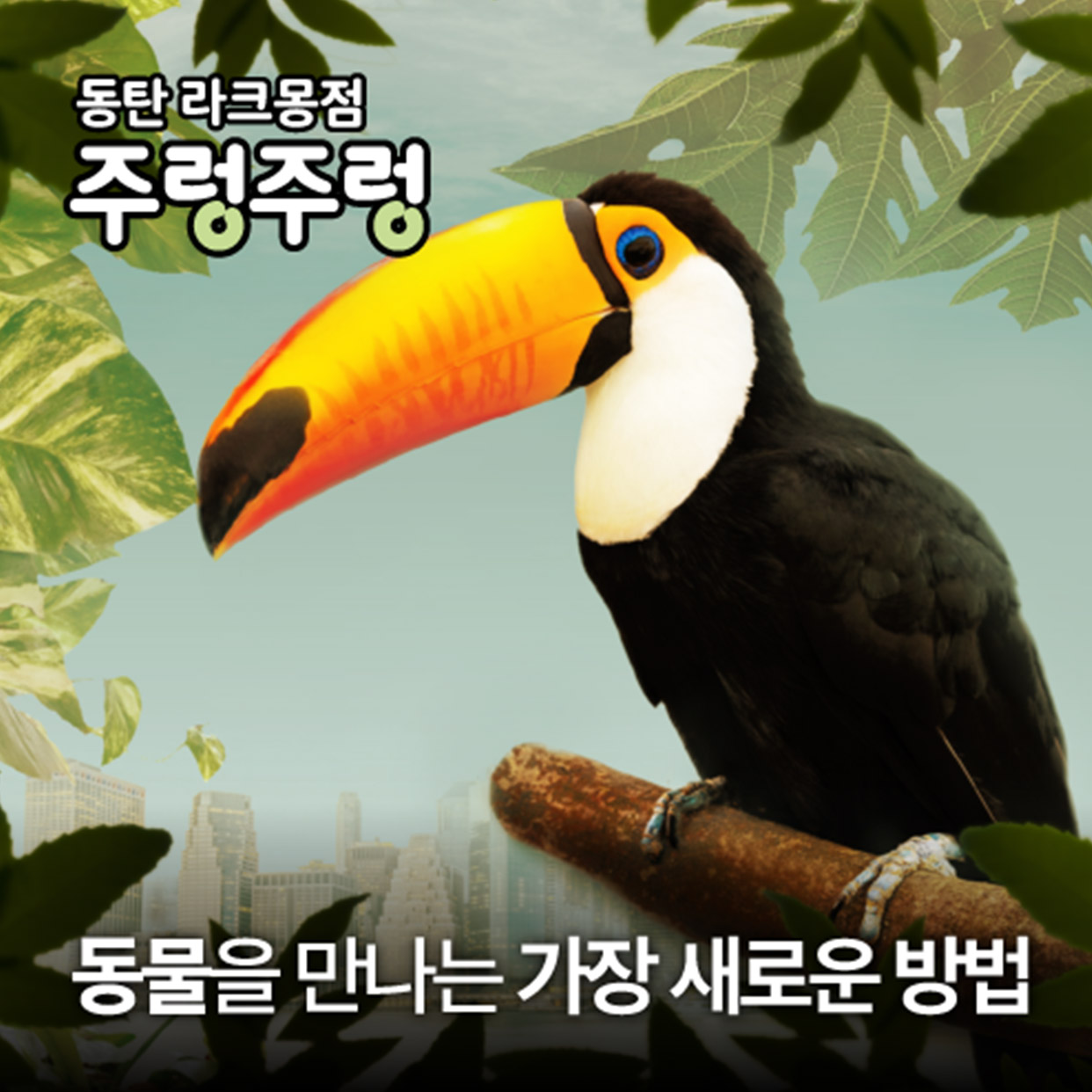 [경기]주렁주렁 실내 동물원 동탄점